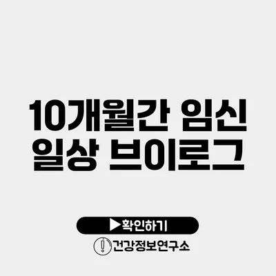 10개월간 임신 일상 브이로그