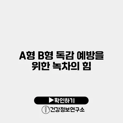 A형 B형 독감 예방을 위한 녹차의 힘