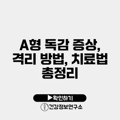 A형 독감 증상, 격리 방법, 치료법 총정리