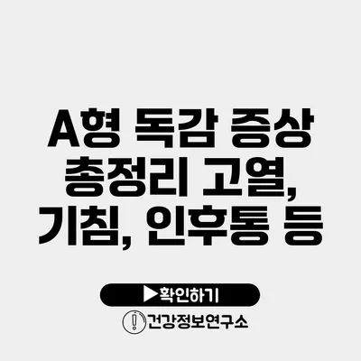 A형 독감 증상 총정리 고열, 기침, 인후통 등