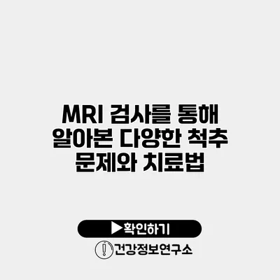 MRI 검사를 통해 알아본 다양한 척추 문제와 치료법