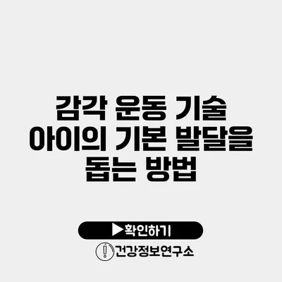 감각 운동 기술 아이의 기본 발달을 돕는 방법