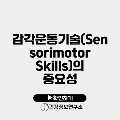 감각운동기술(Sensorimotor Skills)의 중요성