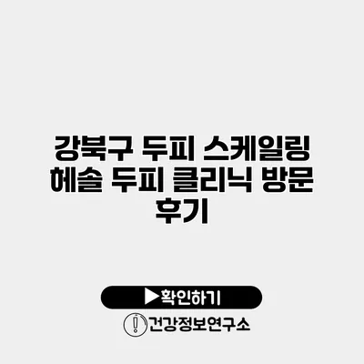 강북구 두피 스케일링 헤솔 두피 클리닉 방문 후기