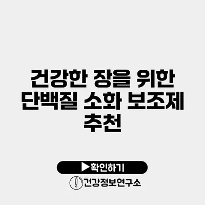 건강한 장을 위한 단백질 소화 보조제 추천