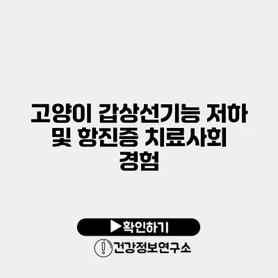 고양이 갑상선기능 저하 및 항진증 치료사회 경험