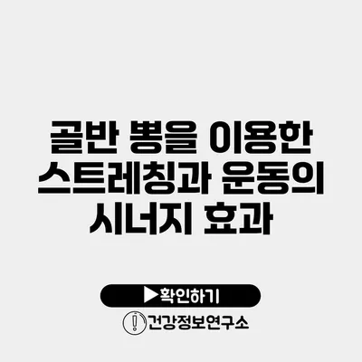 골반 뽕을 이용한 스트레칭과 운동의 시너지 효과
