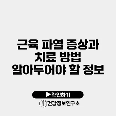 근육 파열 증상과 치료 방법 알아두어야 할 정보