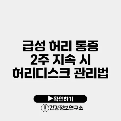 급성 허리 통증 2주 지속 시 허리디스크 관리법