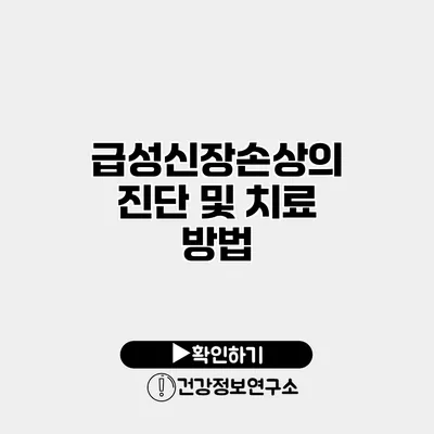 급성신장손상의 진단 및 치료 방법