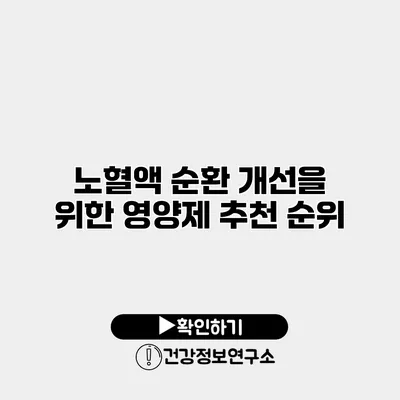 노혈액 순환 개선을 위한 영양제 추천 순위
