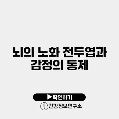 뇌의 노화 전두엽과 감정의 통제