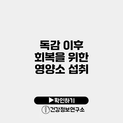 독감 이후 회복을 위한 영양소 섭취