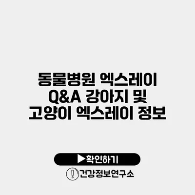 동물병원 엑스레이 Q&A 강아지 및 고양이 엑스레이 정보