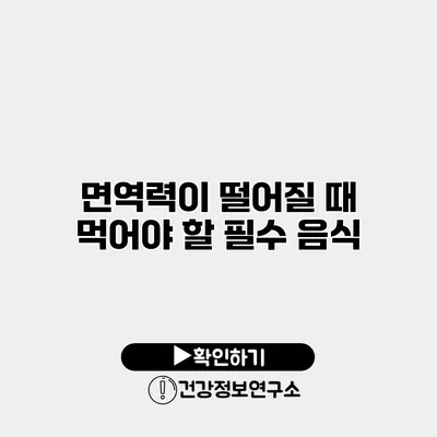 면역력이 떨어질 때 먹어야 할 필수 음식