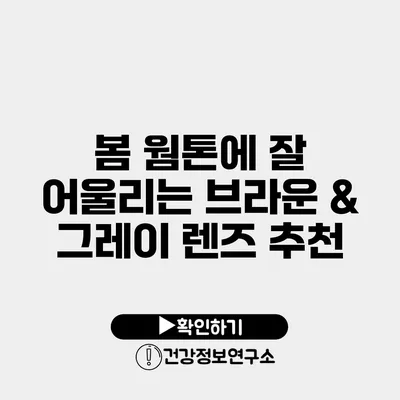 봄 웜톤에 잘 어울리는 브라운 & 그레이 렌즈 추천