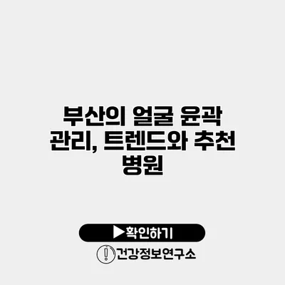 부산의 얼굴 윤곽 관리, 트렌드와 추천 병원