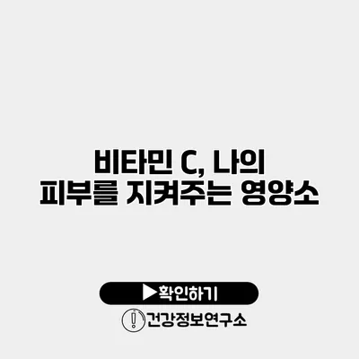 비타민 C, 나의 피부를 지켜주는 영양소