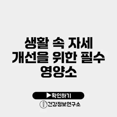 생활 속 자세 개선을 위한 필수 영양소