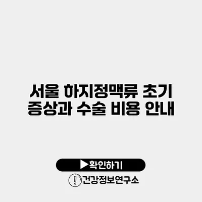 서울 하지정맥류 초기 증상과 수술 비용 안내