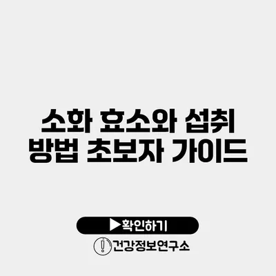 소화 효소와 섭취 방법 초보자 가이드