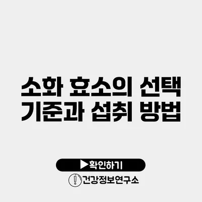소화 효소의 선택 기준과 섭취 방법