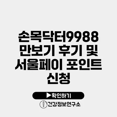 손목닥터9988 만보기 후기 및 서울페이 포인트 신청