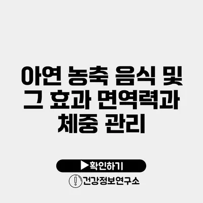 아연 농축 음식 및 그 효과 면역력과 체중 관리