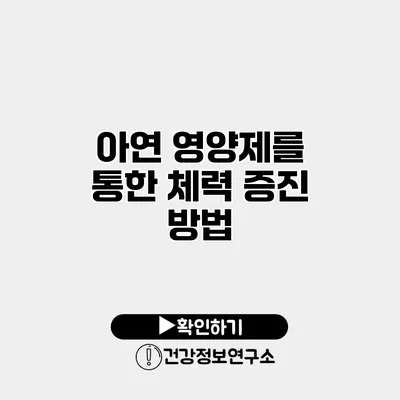 아연 영양제를 통한 체력 증진 방법