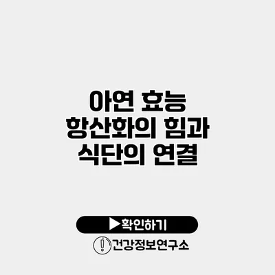 아연 효능 항산화의 힘과 식단의 연결