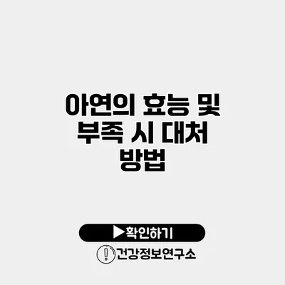 아연의 효능 및 부족 시 대처 방법