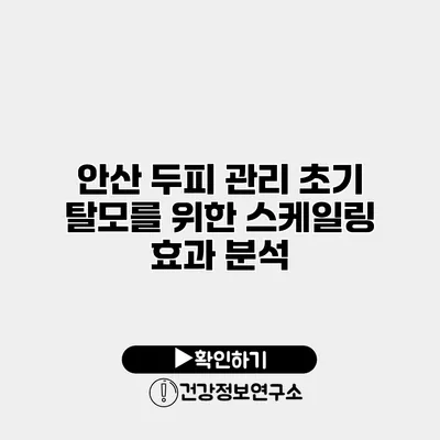 안산 두피 관리 초기 탈모를 위한 스케일링 효과 분석