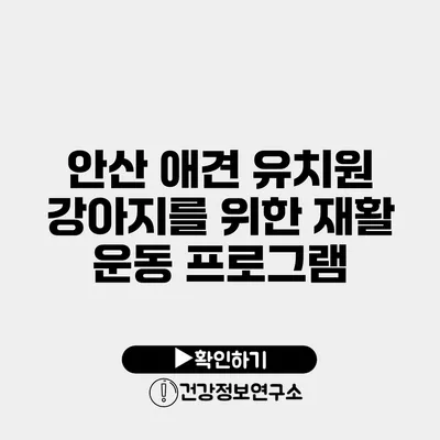 안산 애견 유치원 강아지를 위한 재활 운동 프로그램