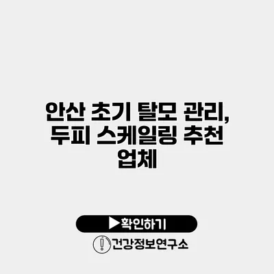 안산 초기 탈모 관리, 두피 스케일링 추천 업체