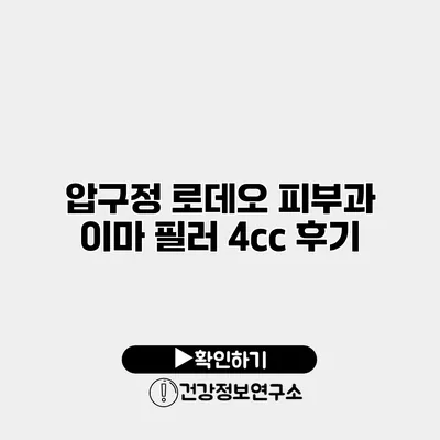 압구정 로데오 피부과 이마 필러 4cc 후기