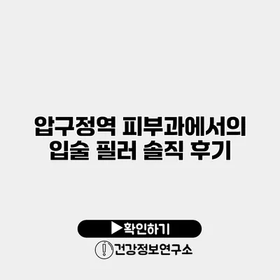 압구정역 피부과에서의 입술 필러 솔직 후기