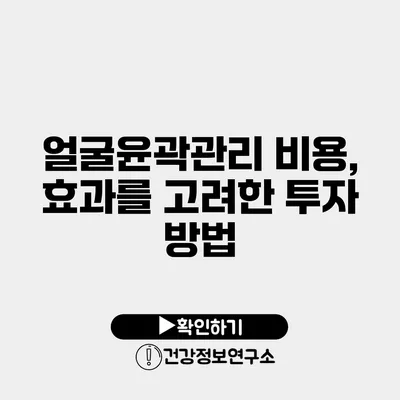 얼굴윤곽관리 비용, 효과를 고려한 투자 방법