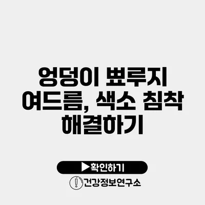 엉덩이 뾰루지 여드름, 색소 침착 해결하기