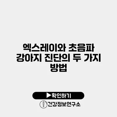 엑스레이와 초음파 강아지 진단의 두 가지 방법