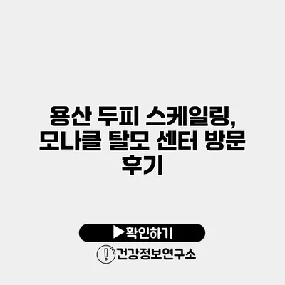 용산 두피 스케일링, 모나클 탈모 센터 방문 후기