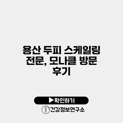 용산 두피 스케일링 전문, 모나클 방문 후기