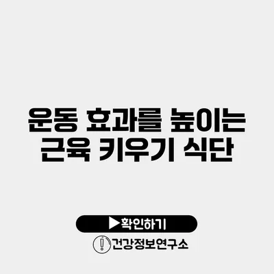 운동 효과를 높이는 근육 키우기 식단
