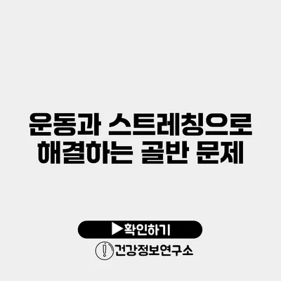 운동과 스트레칭으로 해결하는 골반 문제