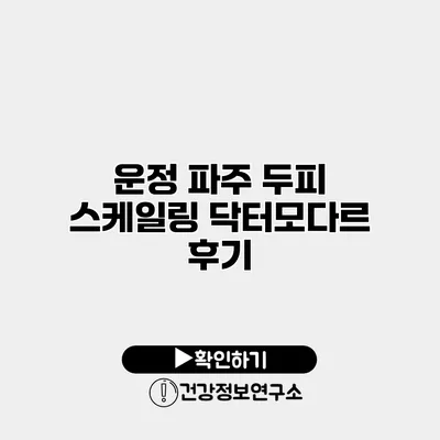 운정 파주 두피 스케일링 닥터모다르 후기