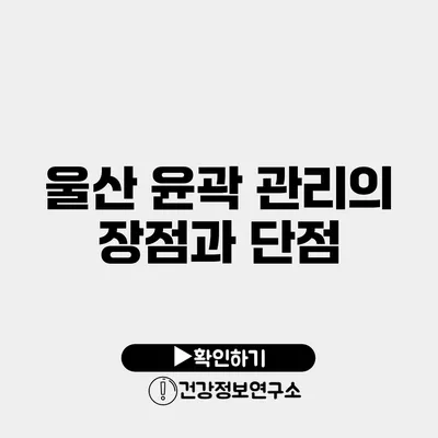 울산 윤곽 관리의 장점과 단점