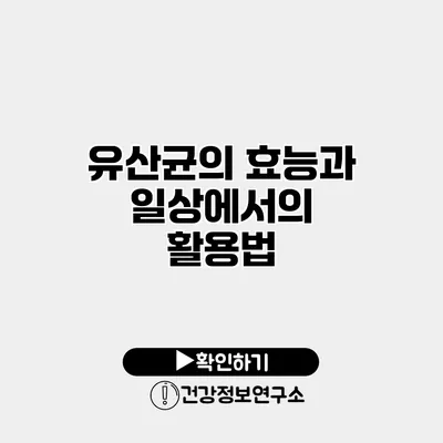 유산균의 효능과 일상에서의 활용법