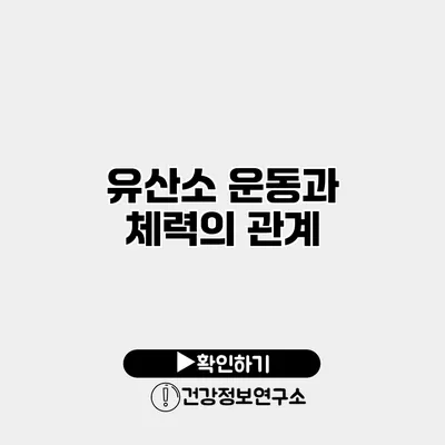 유산소 운동과 체력의 관계