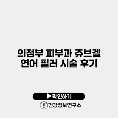의정부 피부과 쥬브겔 연어 필러 시술 후기
