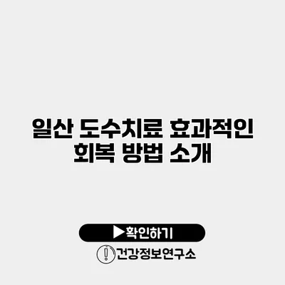 일산 도수치료 효과적인 회복 방법 소개