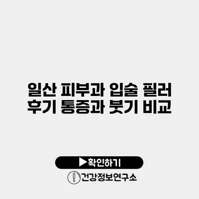 일산 피부과 입술 필러 후기 통증과 붓기 비교